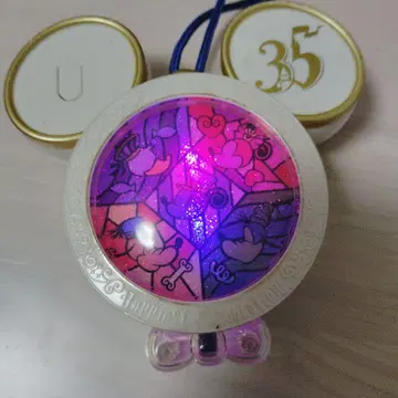 디즈니랜드 35주년 기념 아이템