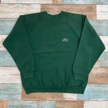 90s FRUIT OF THE LOOM 맨투맨 vintage