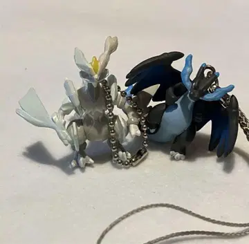 포켓몬스터 포켓몬 메가리자몽X, 화이트큐렘