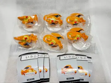 말을 듣지 않아! 리자몽 6개 세트