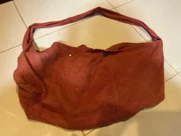 하루 노무라 여행하는 가방 아카네