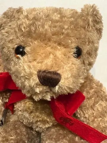 졸업 기념품 테디베어 킨죠 학원 대학 2017년도 곰 봉제 인형