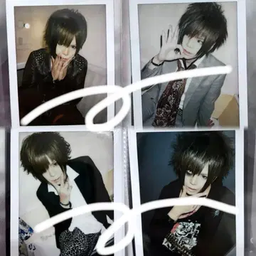 R 지정 마모 폴라로이드