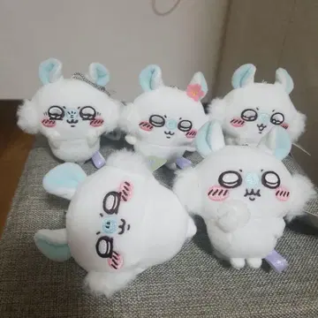 치이카와 모몽가 복권 E상 풀세트