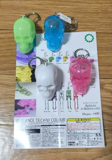 Iskeletons 사이언스 테크니컬러 스켈레톤즈 4종 세트