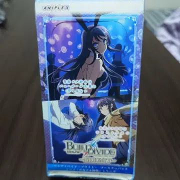 ANIPLEX BUILD DIVIDE -BRIGHT-