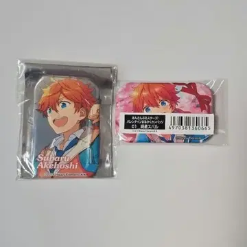 앙스타 스바루 마루카쿠 AGF