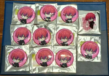 헌터헌터 치비캐릭터 캔뱃지 히소카 애니메이트 페어