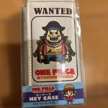 원피스 원티드 키케이스