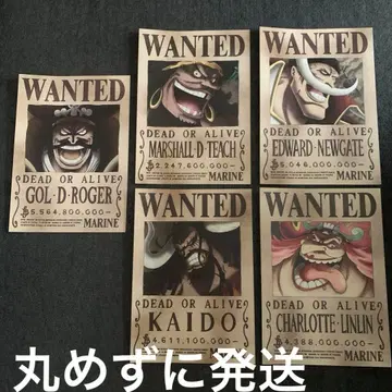 원피스 수배서 A3 묶음 판매