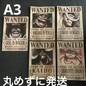 원피스 수배서 A3 묶음 판매