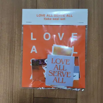 후지이 카제 LASA 프레이크 씰 세트 스티커