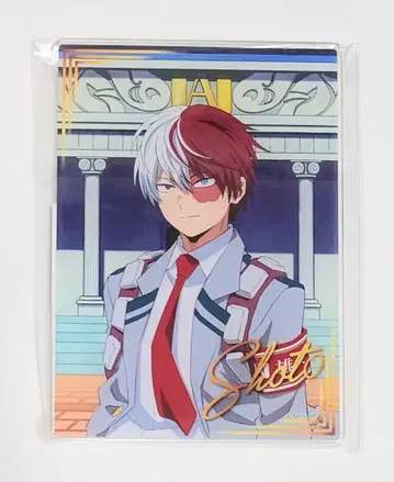 히로아카 토도로키 유에이 고교 오픈 스쿨 미니게임 아크릴 보드