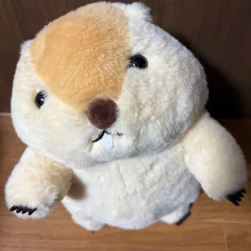 마모트의 모토토 이인 JB 모토토