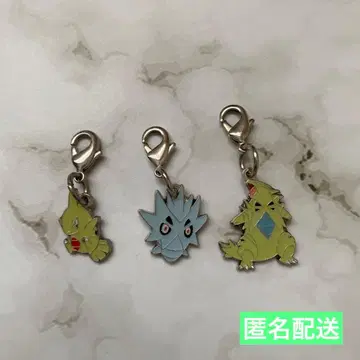 익명 배송 포켓몬 도감 메탈 참 요기라스 사나기라스 뱅기라스