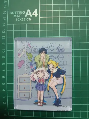 세일러문 츠키노 우사기 치비우사 지바 마모루 아크릴 블록