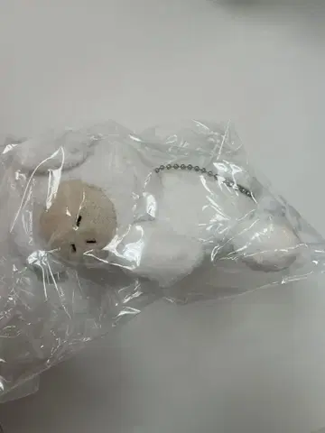 미야카와쿤 미야가와 다이세이 whispeeee 안녕히 주무세요 위스피