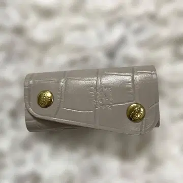 ILBISONTE 그레이 키케이스