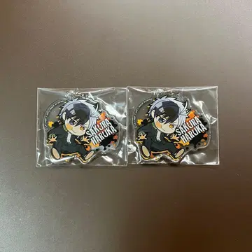 피타데포메 사쿠라 하루카