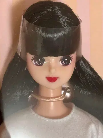 리카짱 캐슬 제니 프렌드 사유리 블랙 헤어 제니 인형