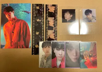 백현 미니 앨범 Bambi 봉입 트레이딩 카드 세트 묶음 판매