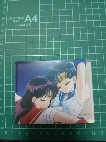 세일러문 히노 레이 미즈노 아미 아크릴 블록