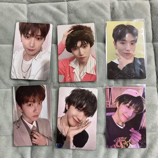 보이넥스트도어 포카와 개봉앨범 일괄판매// 보넥도// 포카/ 운학/ 리우