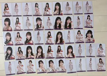 노기자카46 브로마이드 묶음 판매 + 덤