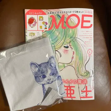 월간 MOE 1월호 미즈모리 아도 히구치 유코 토트백