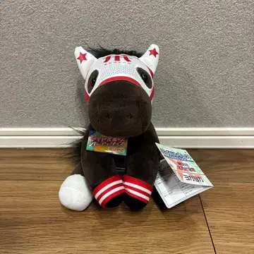 아이돌 호스 봉제 인형 2022 요카요카