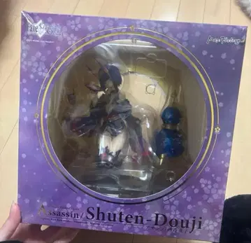 Fate 슈텐도지 피규어