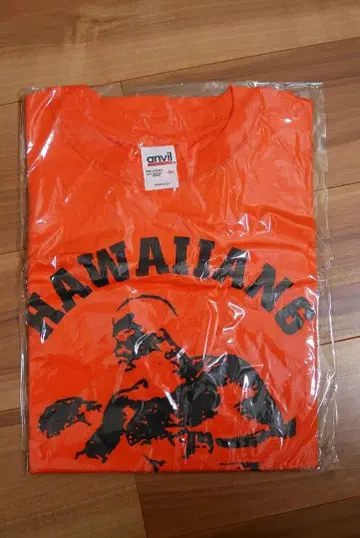 새상품 HAWAIIAN6 BEGINNINGS TOUR 2005 티셔츠 M