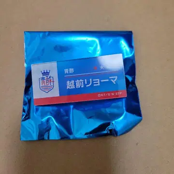 신 테니스의 왕자님 테니프리 유닛 멤버 네임 배지 에치젠 료마 청식초