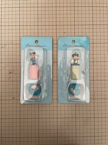 도쿄 디즈니 씨 핫코 커버