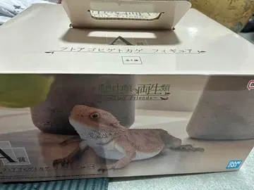 파충류 & 양서류 제일복권 A상 비어디드래곤