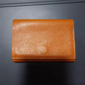 엠피우 스트라치오 고트