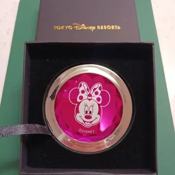 도쿄 디즈니 리조트 미니 마우스 거울