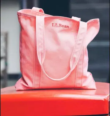 L.L. Bean 엘르 엘르 빈 bonjour records 토트백