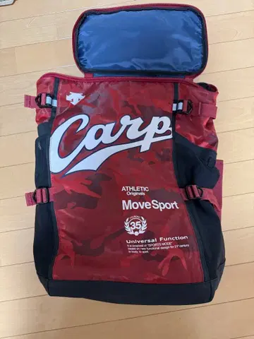 카프 데상트 2019 스퀘어 백