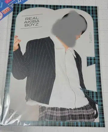 리얼 아키바 보이즈 주논 복권 투시 사진집
