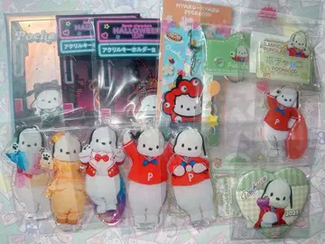 산리오 포차코 미라기프 생일