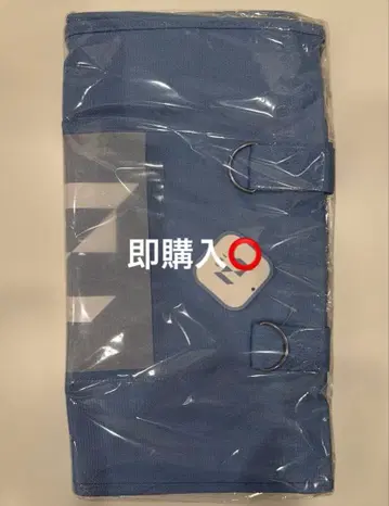 INI GIGO 한정판 토트백