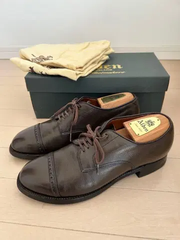 알든 레이디카프 55991F 로덴 그린