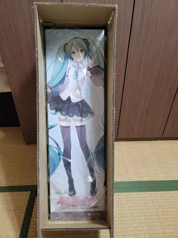 보크스 돌피드림 DD 하츠네 미쿠 NT