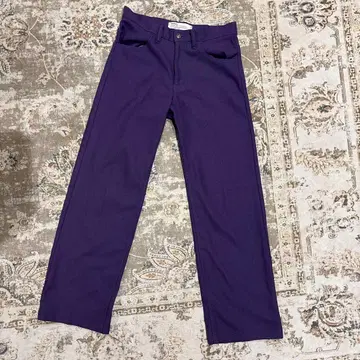 DAIRIKU STRAIGHT LEG PRESSED 29 다이리쿠