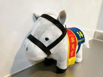 서러브레드 컬렉션 봉제 인형 13 골드십 사츠키상