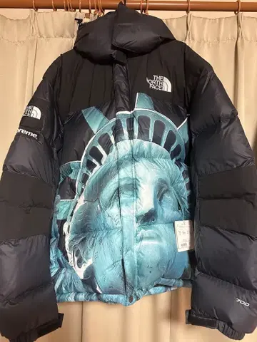 새상품 THE NORTH FACE 다운 자켓 자유의 여신 L