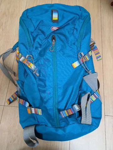 phenix 백팩 파랑 레인커버 포함