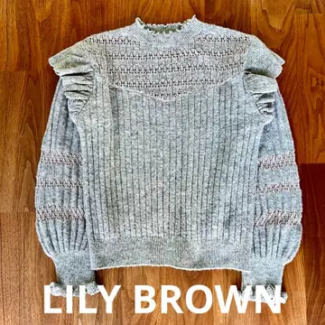 Lily Brown 시스루 니트