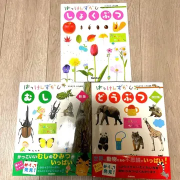 [ 새상품급 ] 하켄즈칸 그림책 세트